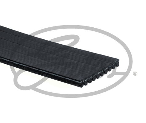 Gates Poly V-riem 10PK2473HD