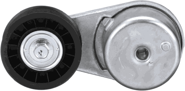 Gates Spanner poly V-riem T38137