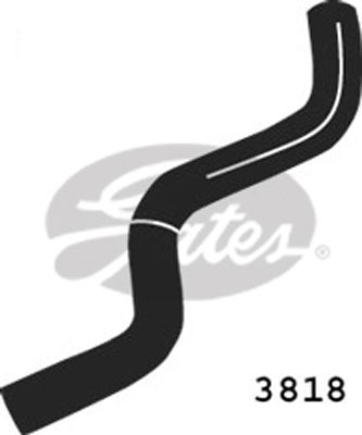 Radiateurslang Gates 3818