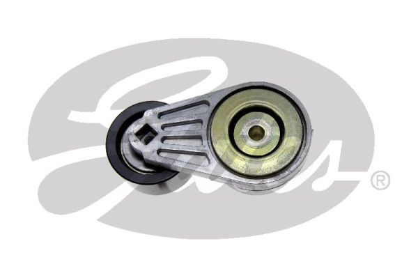 Gates Spanner poly V-riem T38505