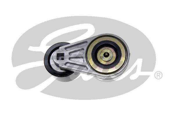 Gates Spanner poly V-riem T38506