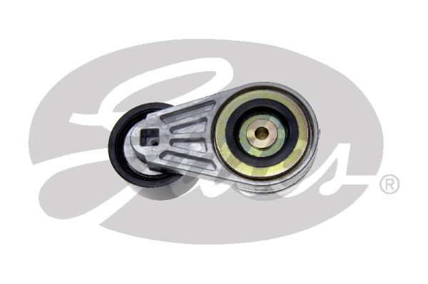 Gates Spanner poly V-riem T38507