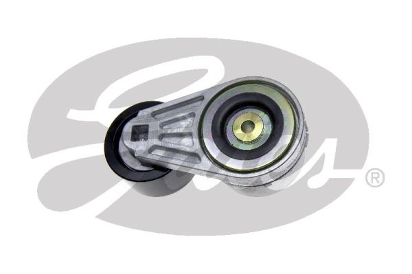 Gates Spanner poly V-riem T38513