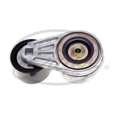 Gates Spanner poly V-riem T38534