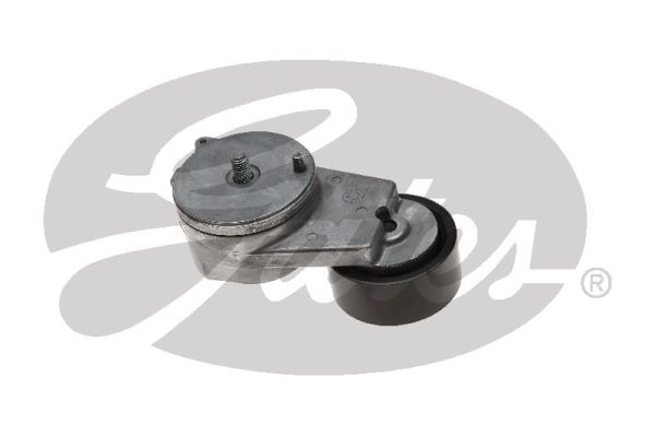 Gates Spanner poly V-riem T38670