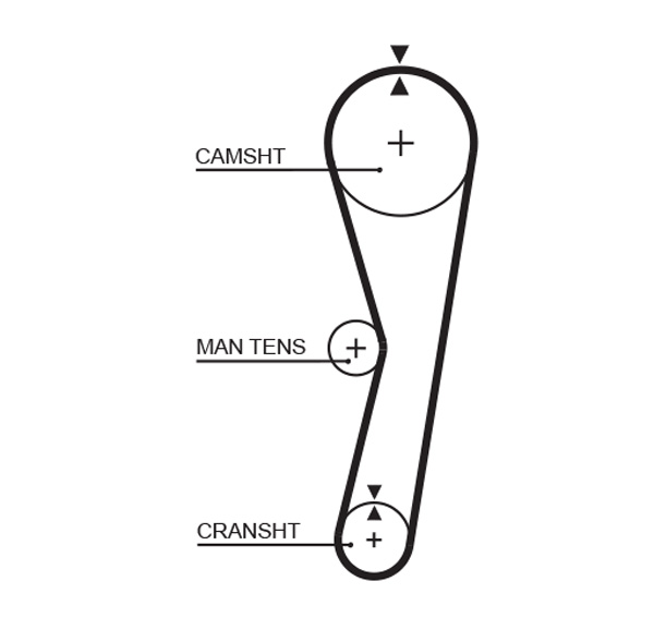 Distributieriem Gates 5024