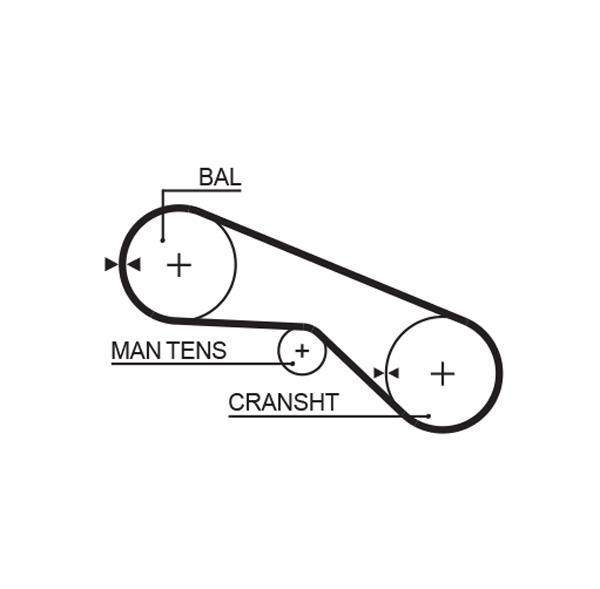 Distributieriem Gates 5025