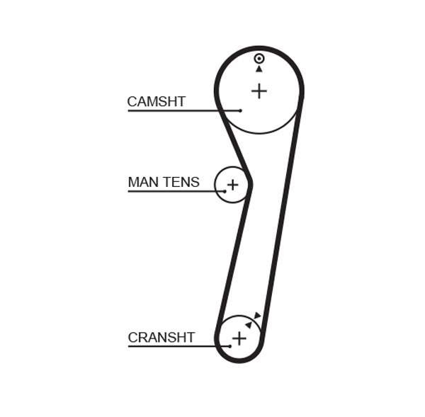 Distributieriem Gates 5029