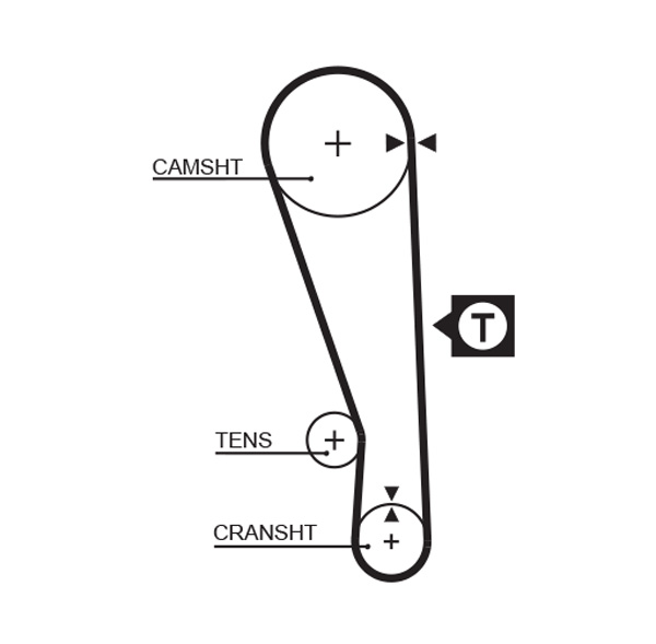 Distributieriem Gates 5036