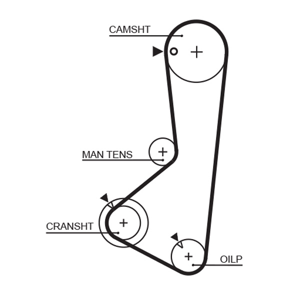 Distributieriem Gates 5115