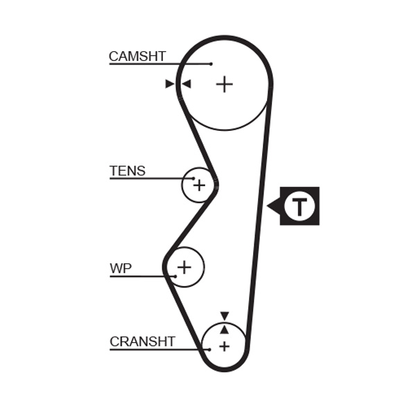 Distributieriem Gates 5124