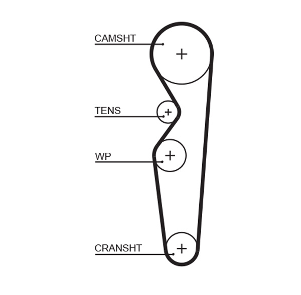 Distributieriem Gates 5138