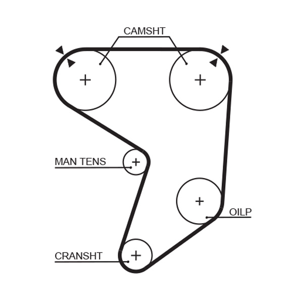 Distributieriem Gates 5196