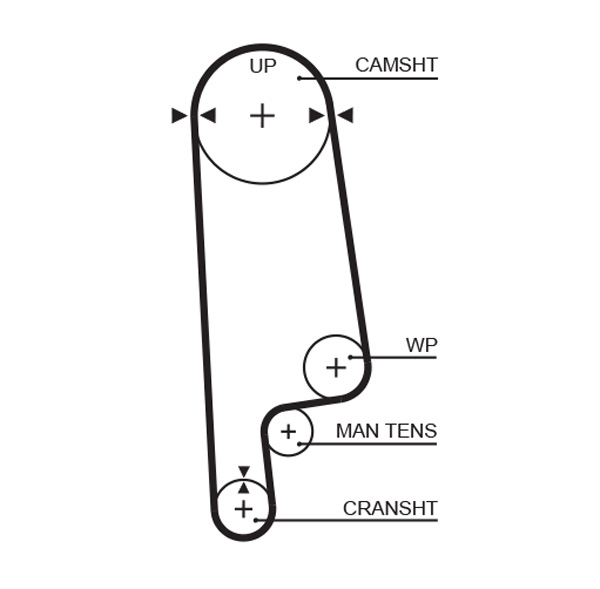 Distributieriem Gates 5236XS