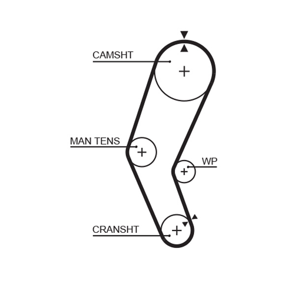 Distributieriem Gates 5272