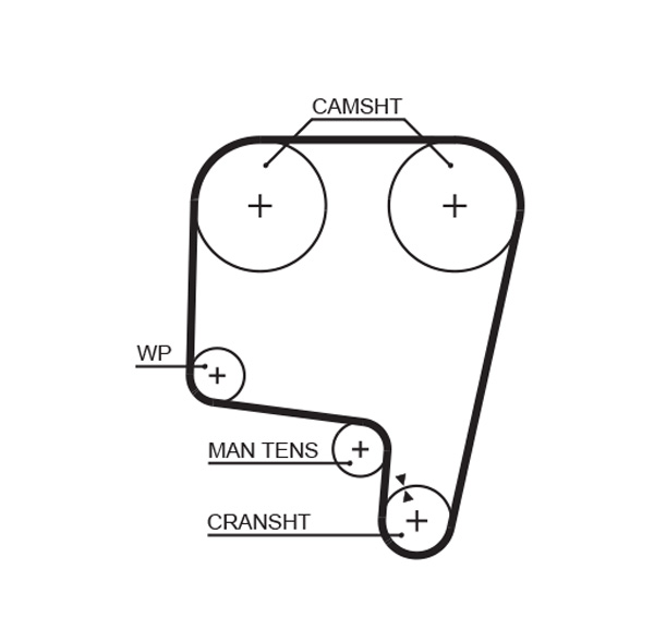 Distributieriem Gates 5340