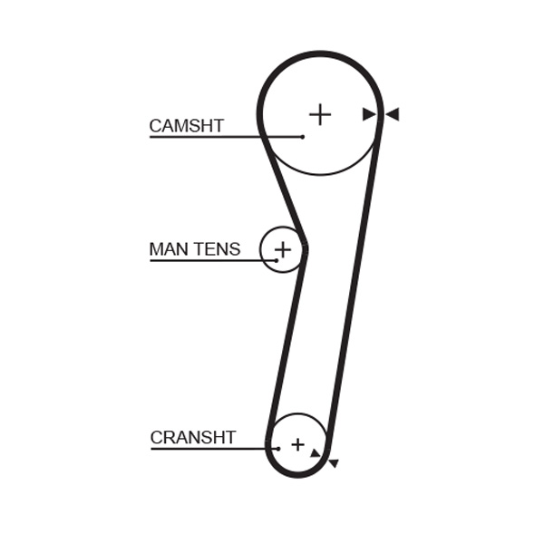 Distributieriem Gates 5365