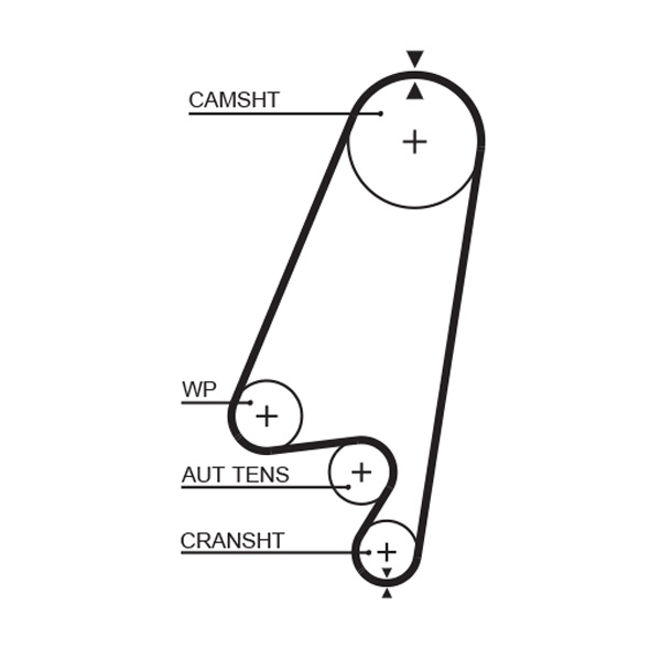 Distributieriem Gates 5367XS