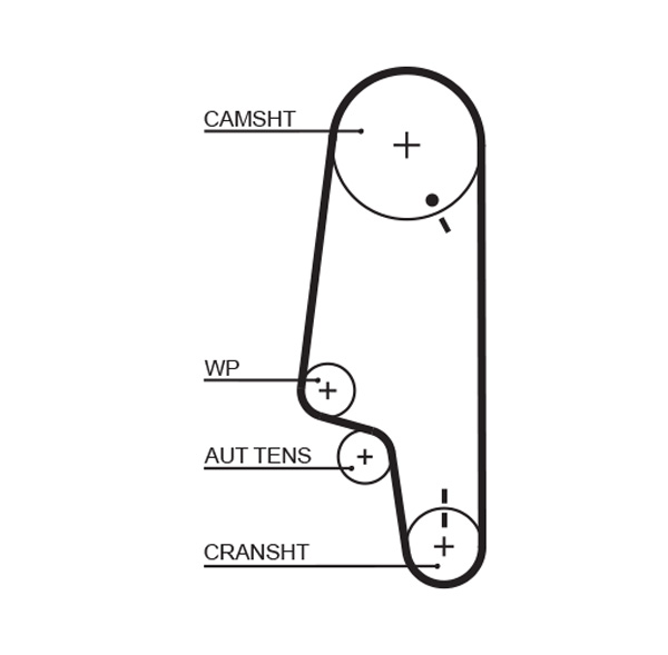 Distributieriem Gates 5428XS