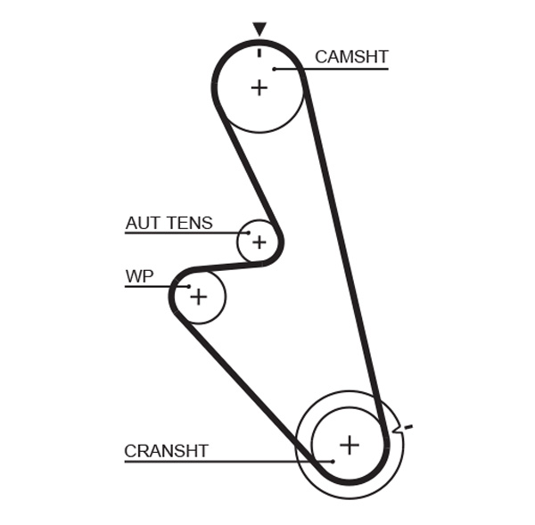 Distributieriem Gates 5449