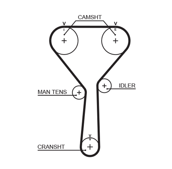 Distributieriem Gates 5487XS