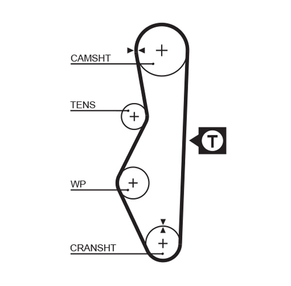 Distributieriem Gates 5521