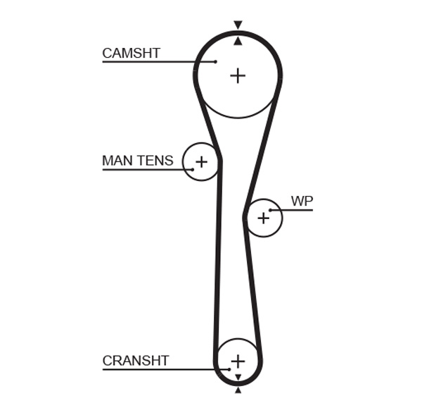 Distributieriem Gates 5577XS