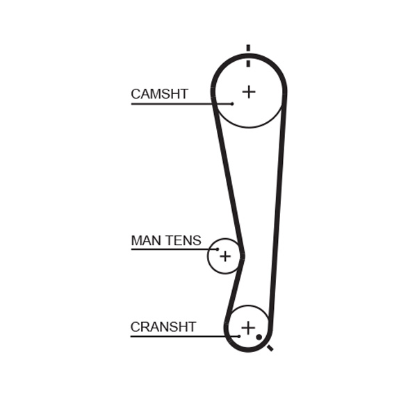 Distributieriem Gates 5591XS