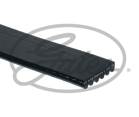 Gates Poly V-riem 6PK2050HD