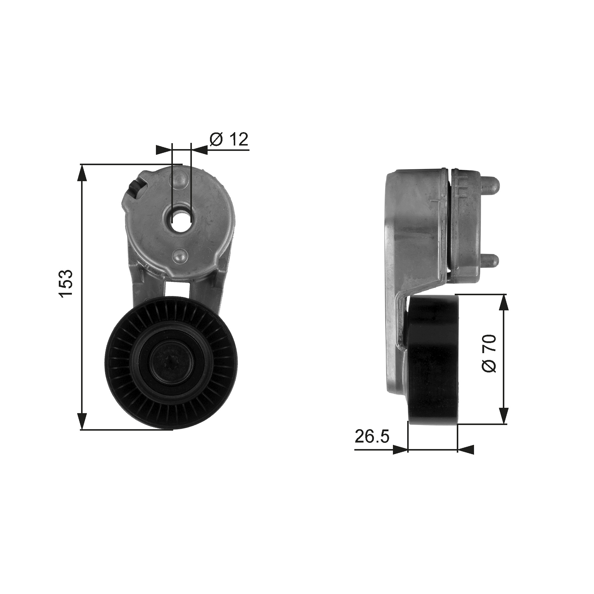 Spanner poly V-riem Gates T38163