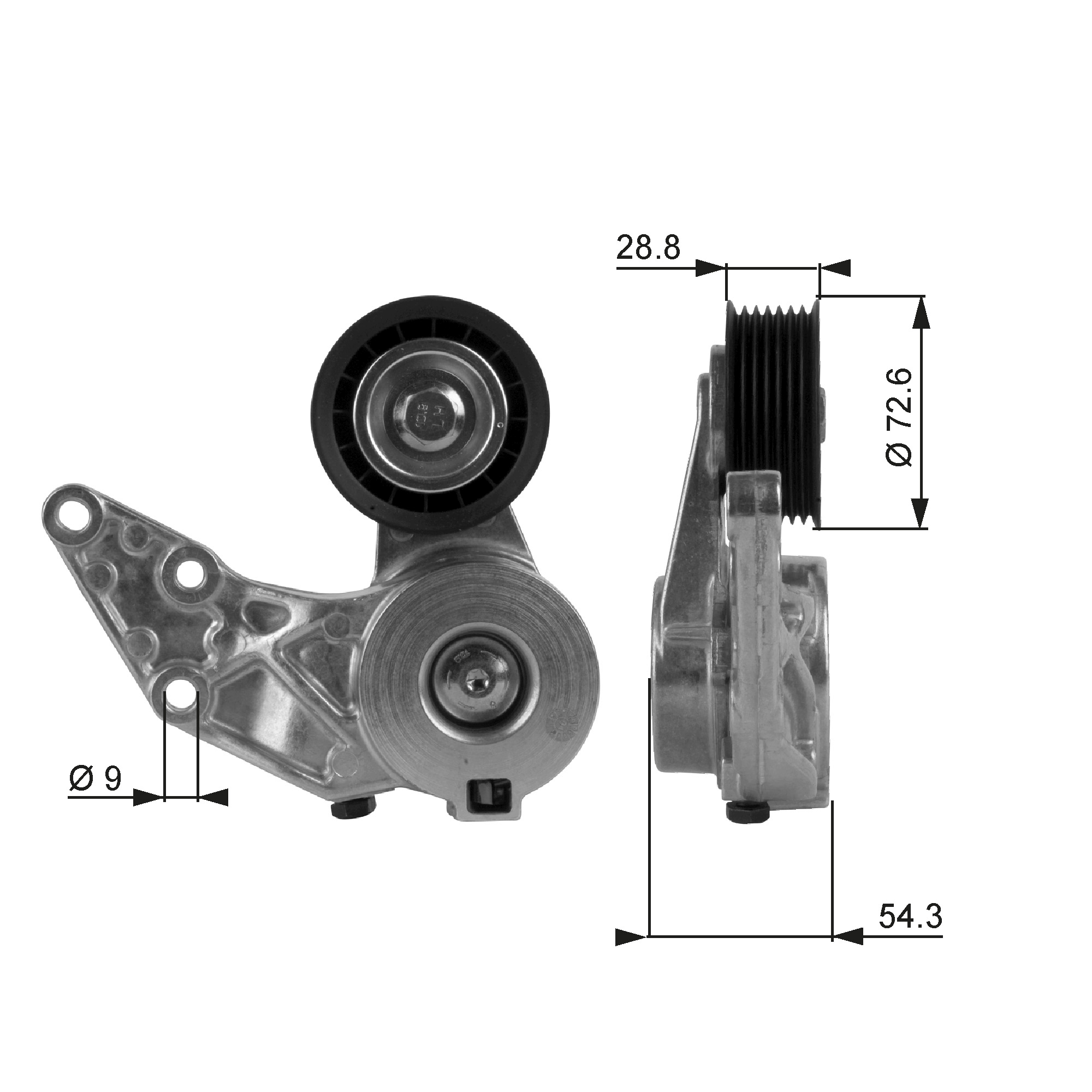 Spanner poly V-riem Gates T38208