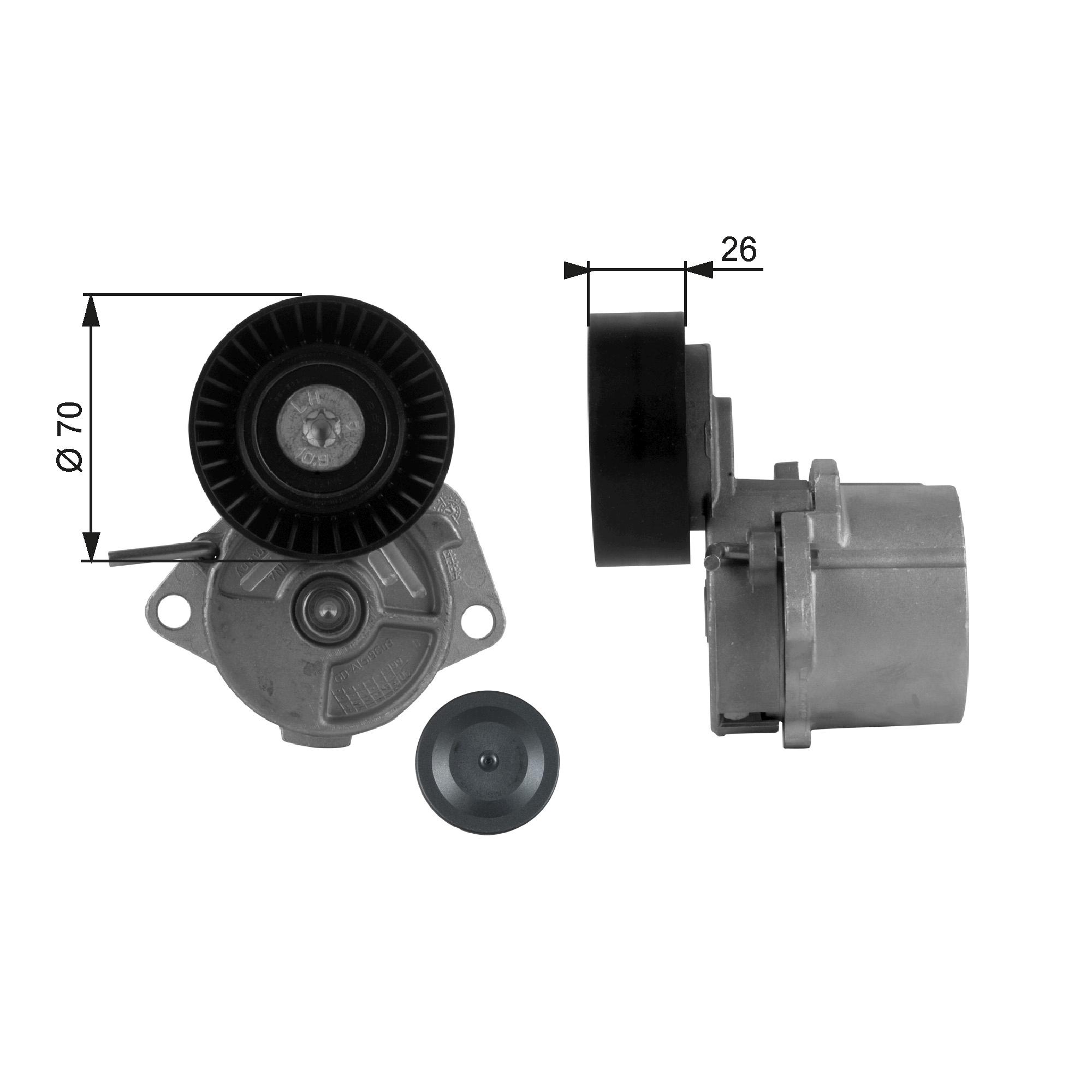 Spanner poly V-riem Gates T38223