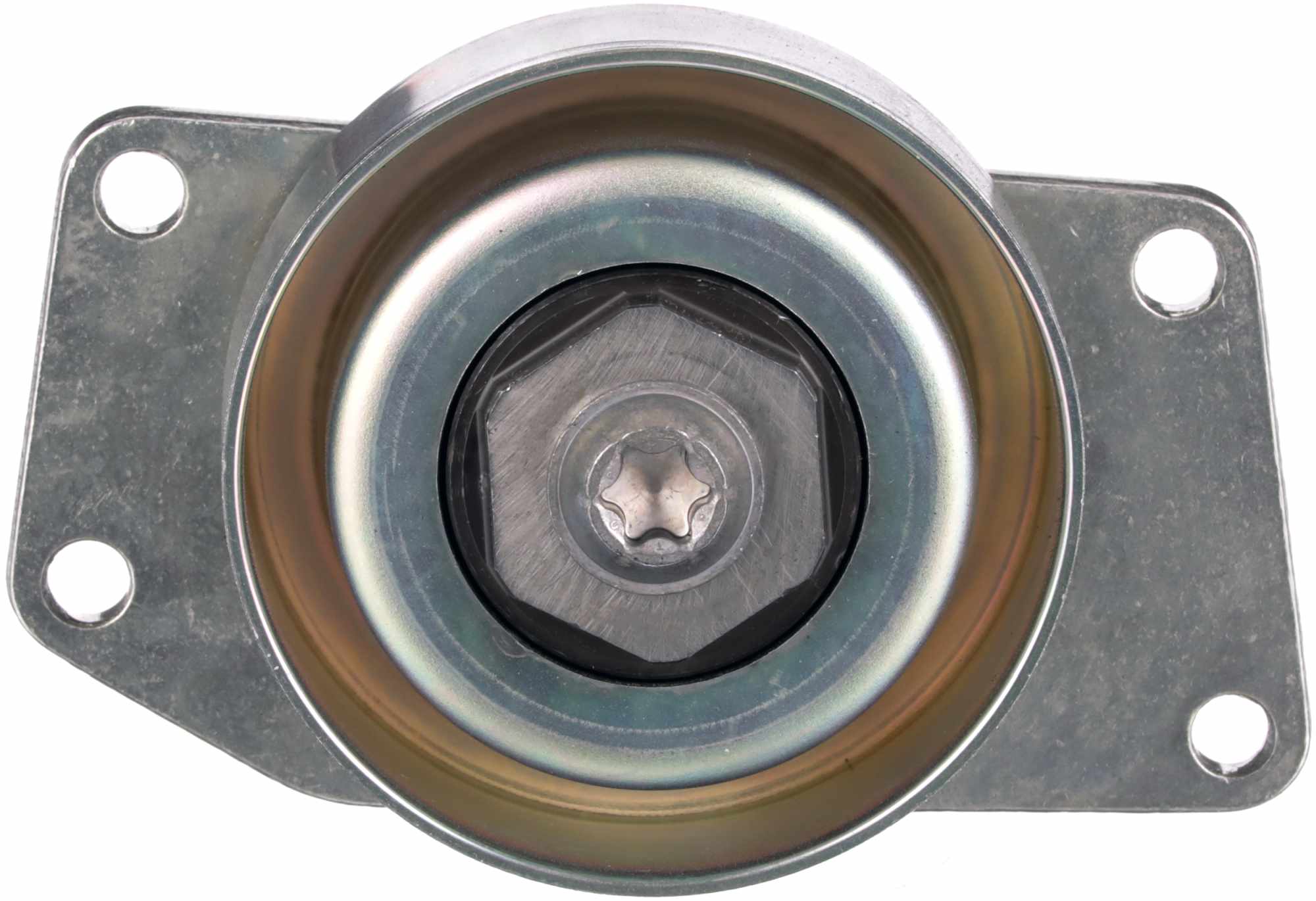 Gates Spanner poly V-riem T38232