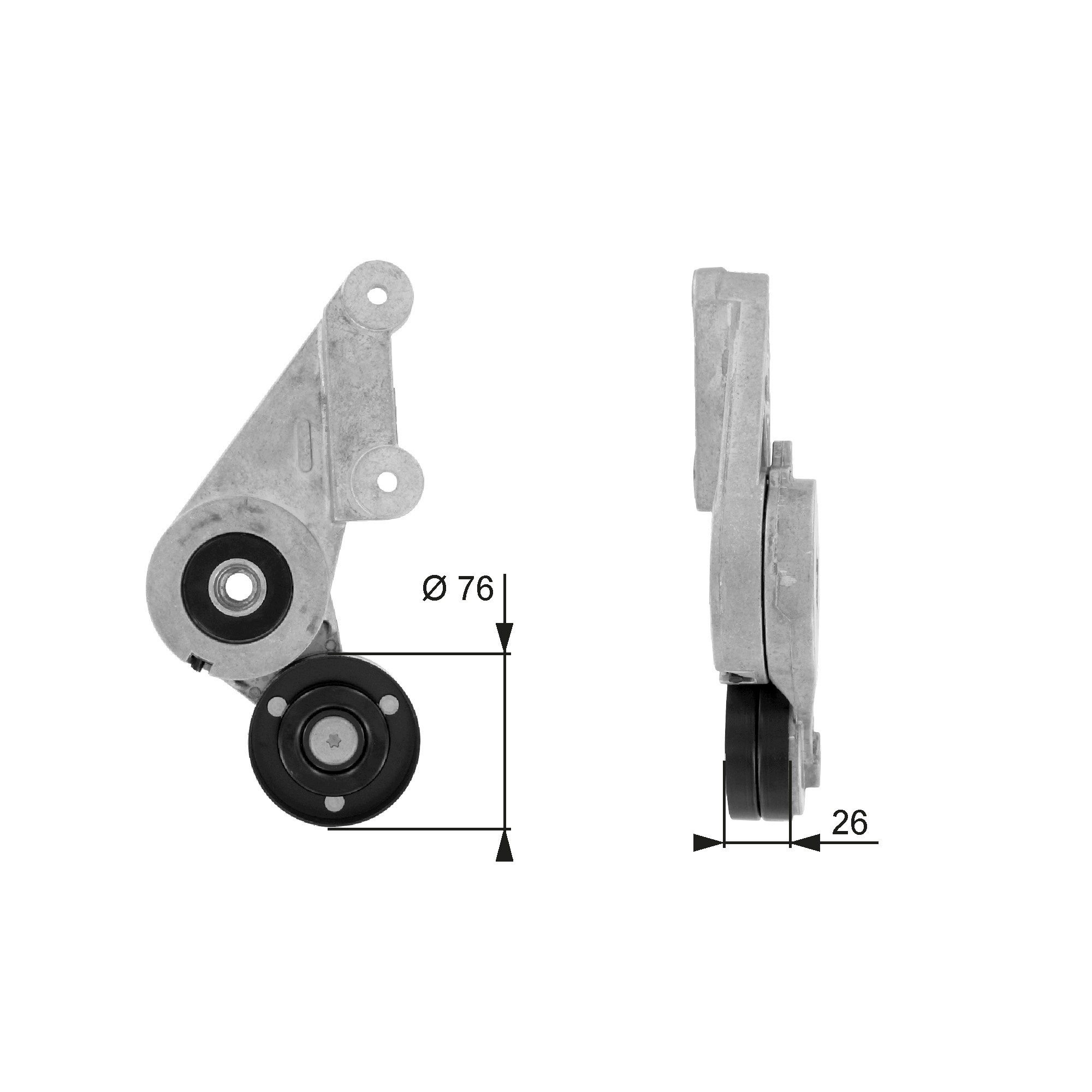 Spanner poly V-riem Gates T38304