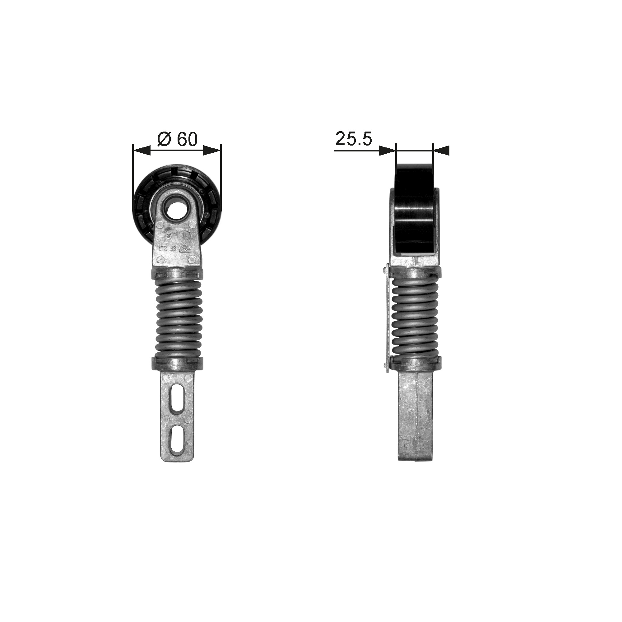 Spanner poly V-riem Gates T38355