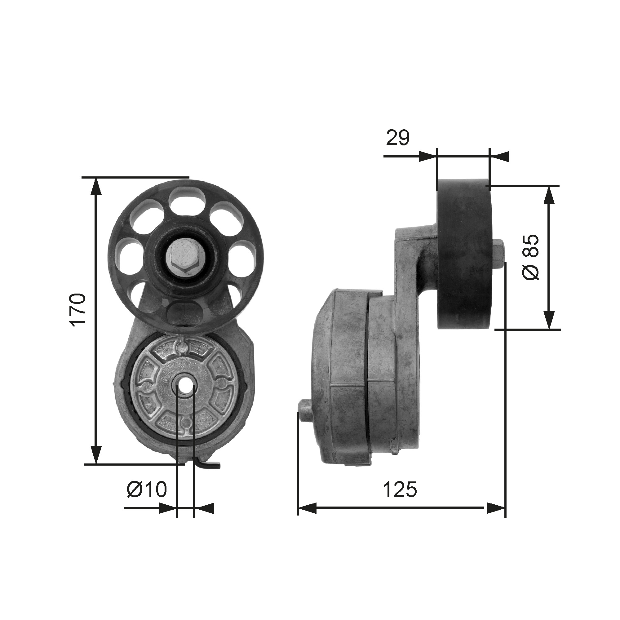 Spanner poly V-riem Gates T38425