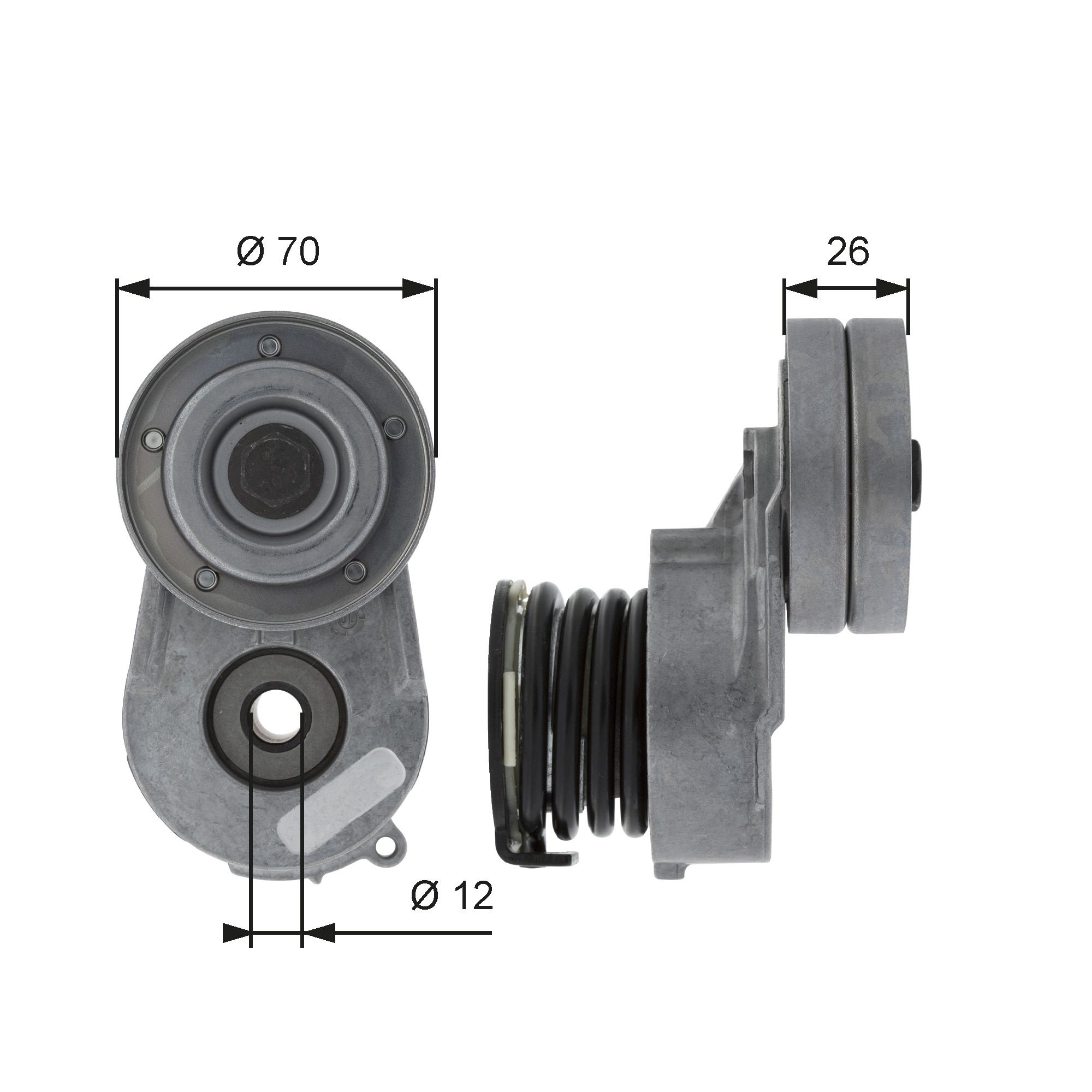 Spanner poly V-riem Gates T38496