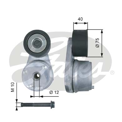 Spanner poly V-riem Gates T38508