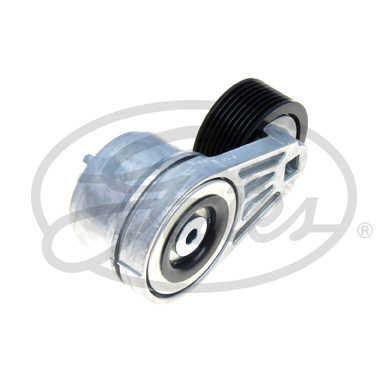 Gates Spanner poly V-riem T38516