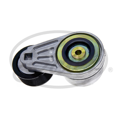 Gates Spanner poly V-riem T38525