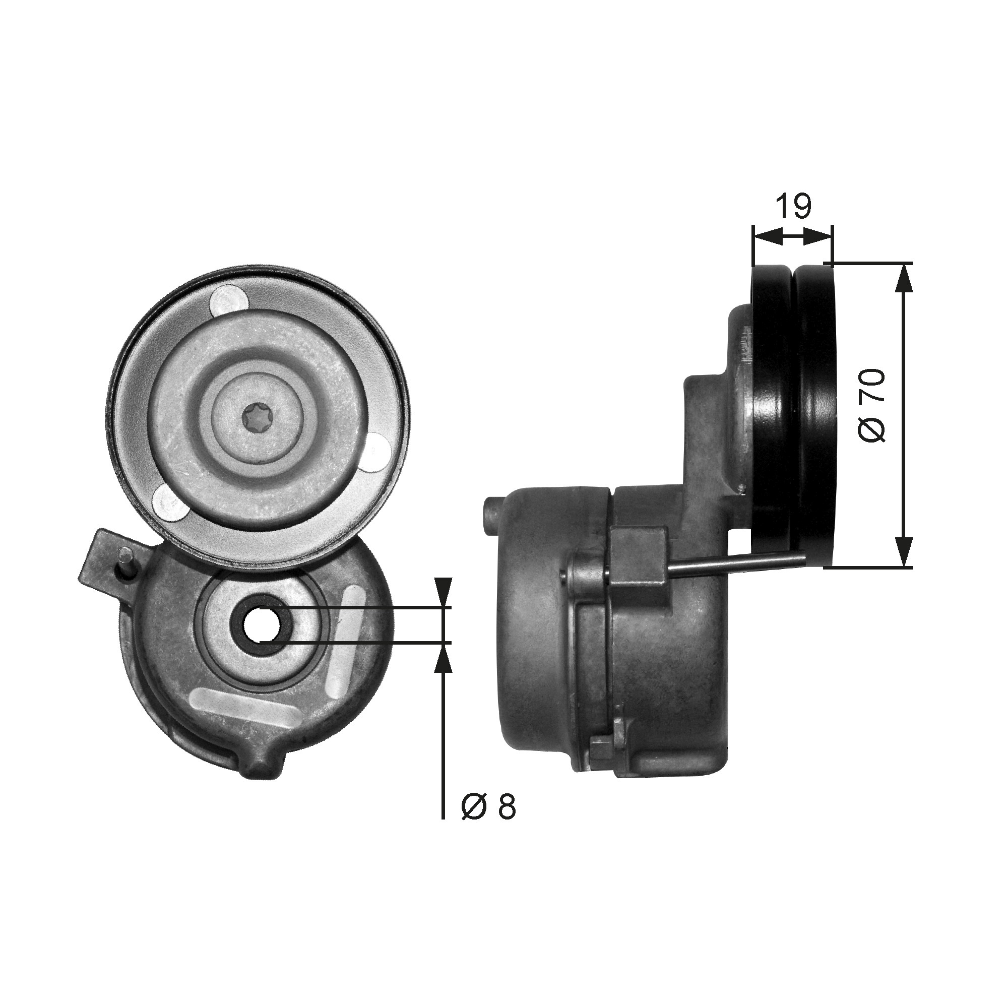 Spanner poly V-riem Gates T38558