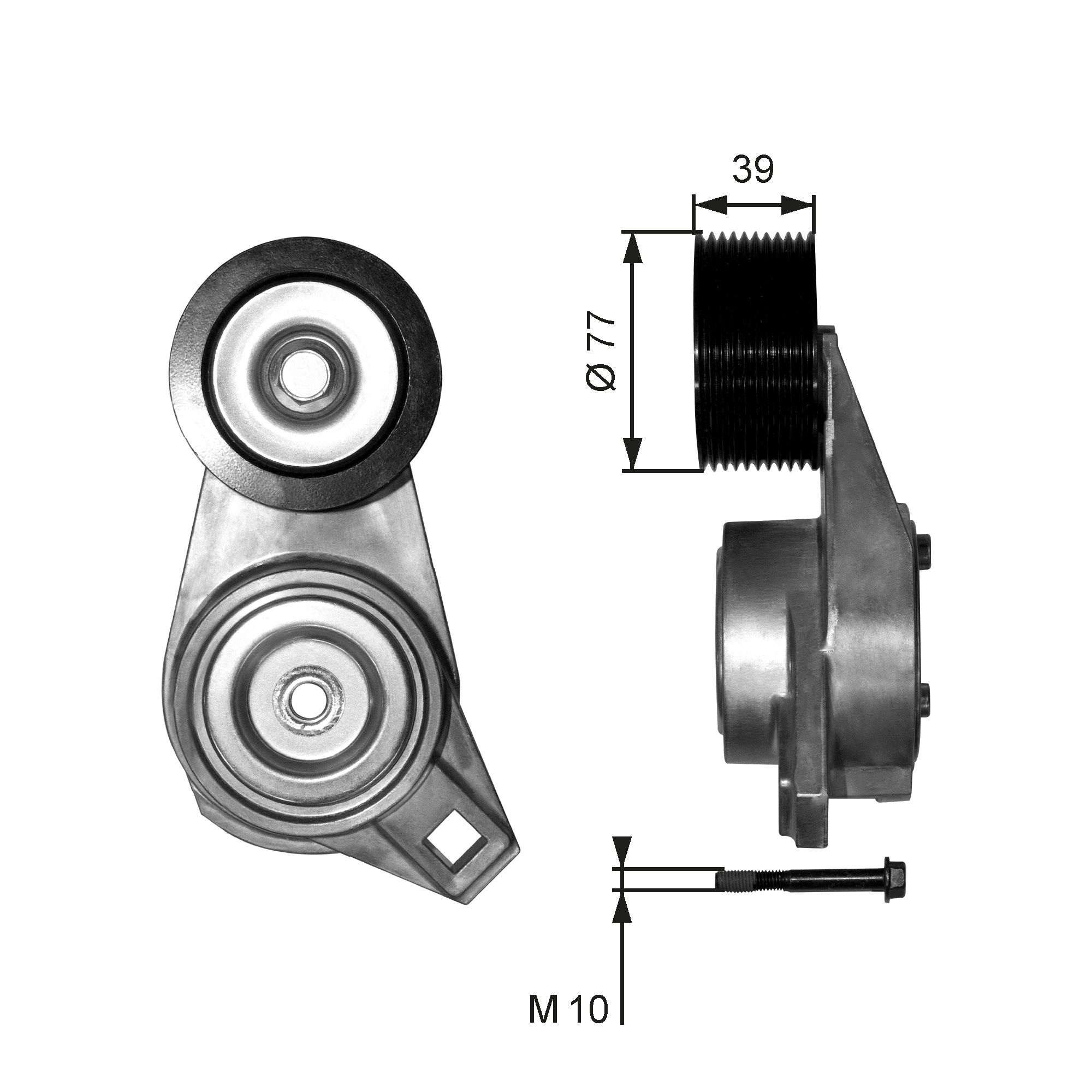 Spanner poly V-riem Gates T38581