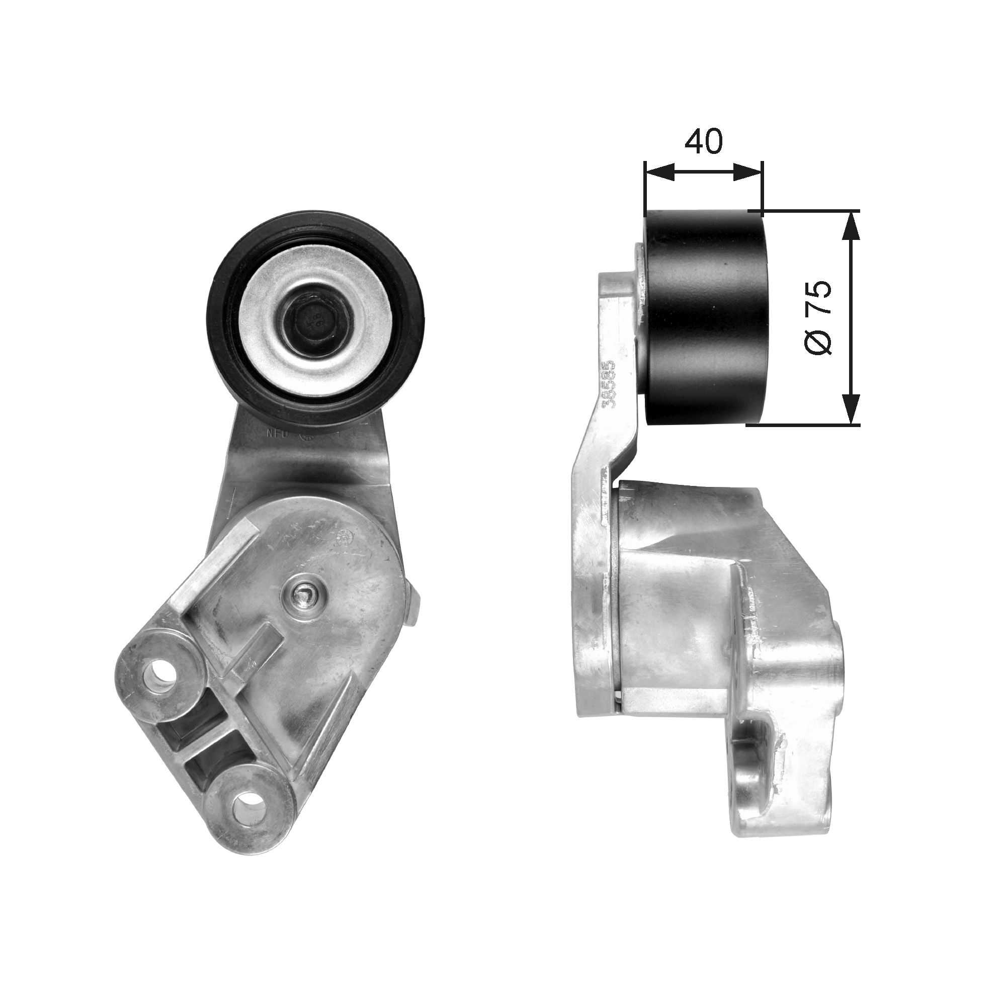 Spanner poly V-riem Gates T38585