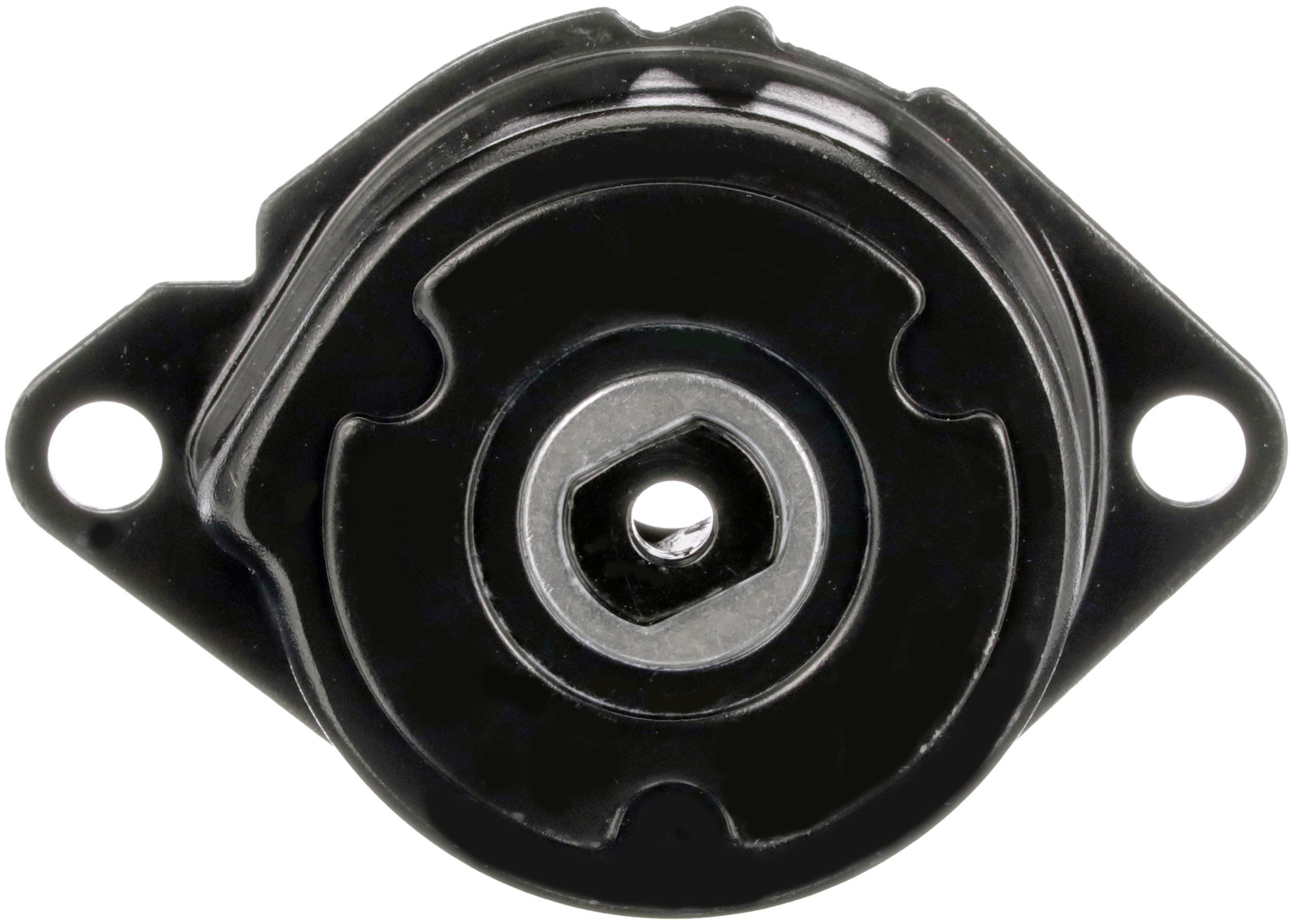 Gates Spanner poly V-riem T39039