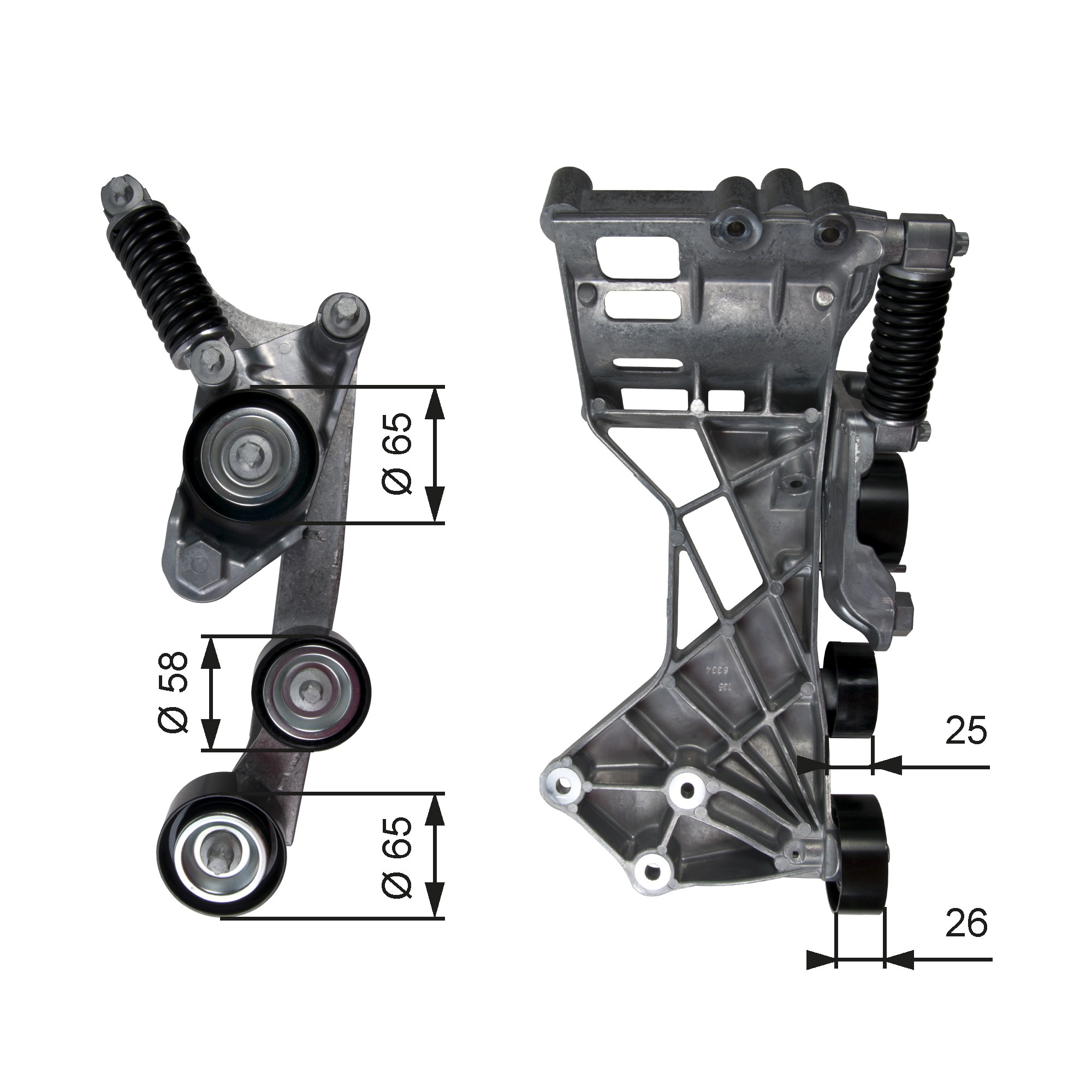 Spanner poly V-riem Gates T39136