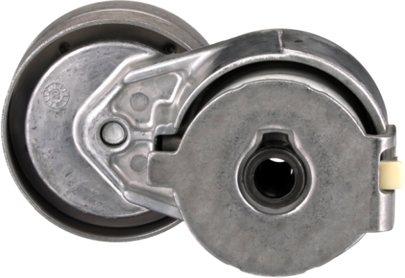 Gates Spanner poly V-riem T39253