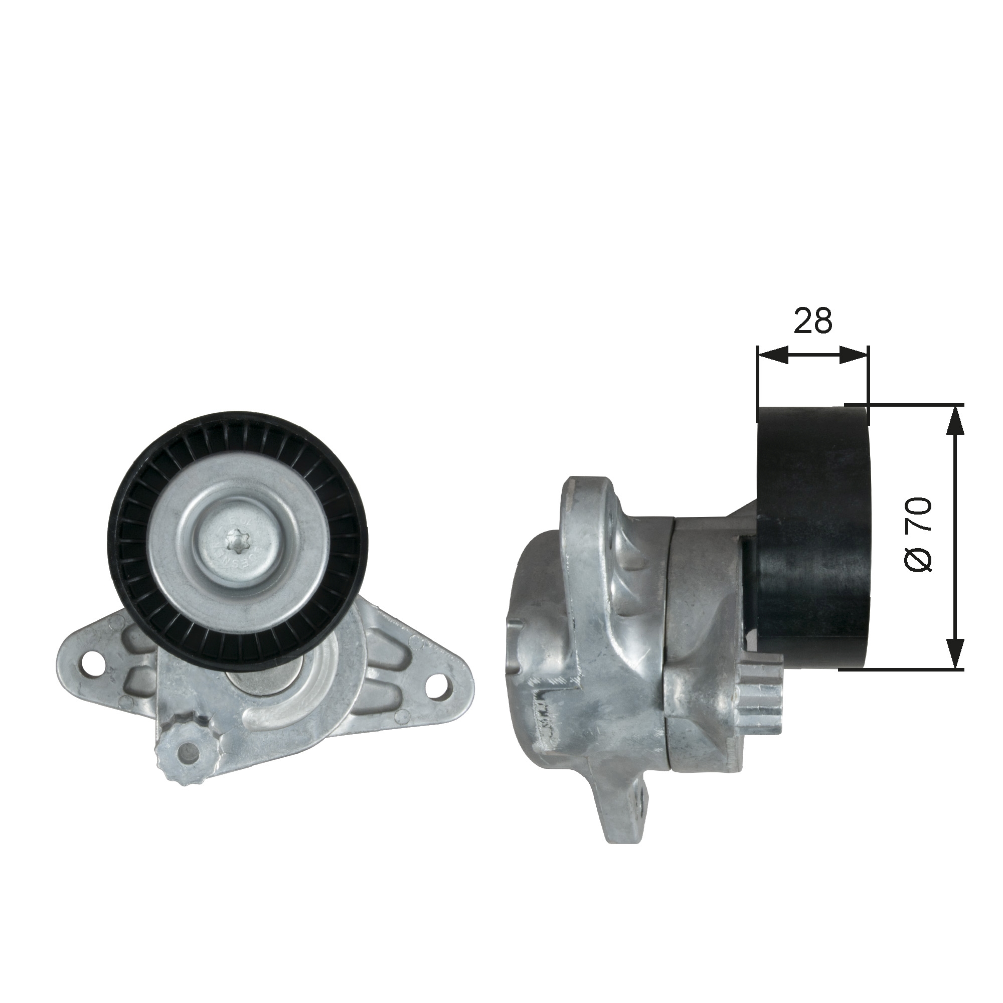 Spanner poly V-riem Gates T39348