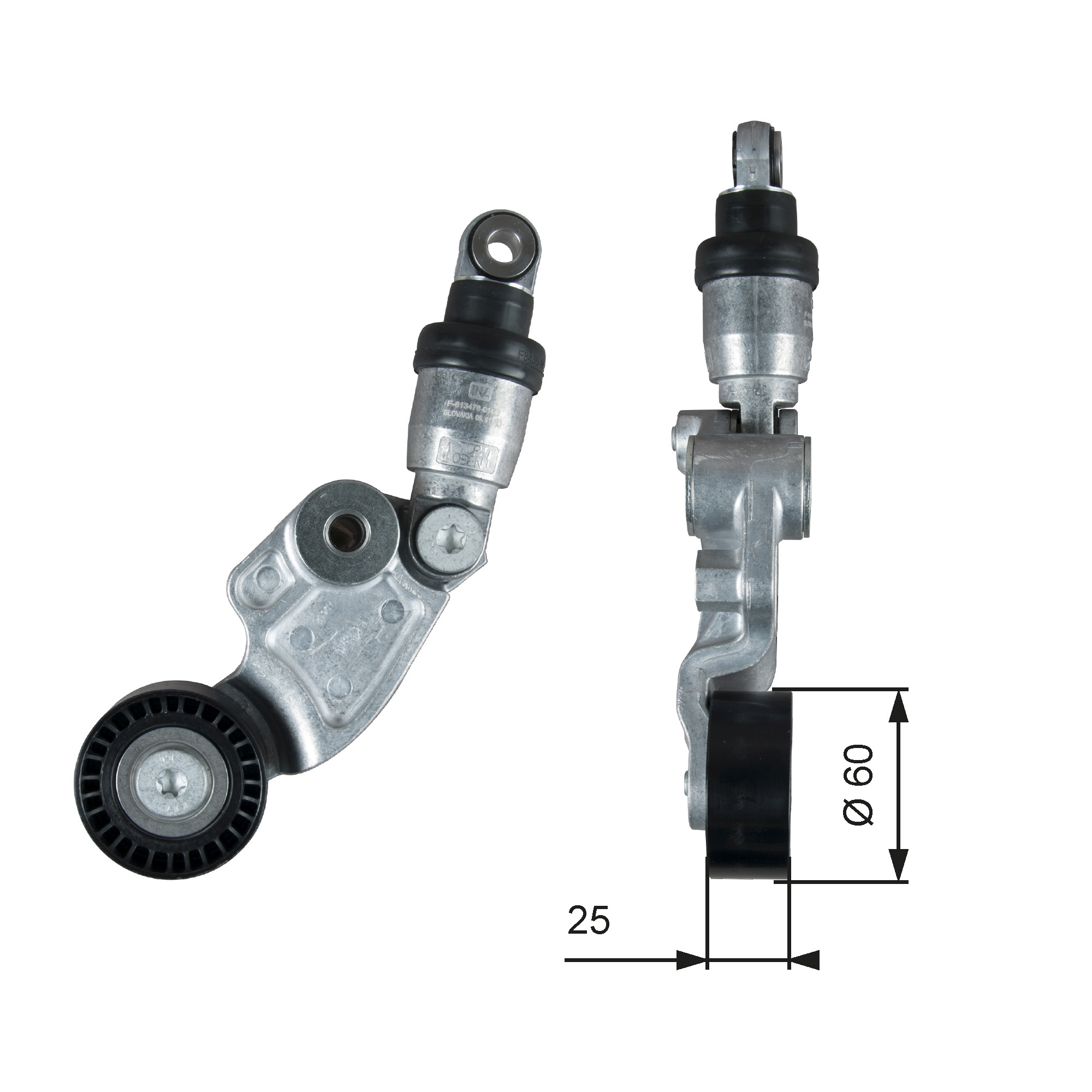 Spanner poly V-riem Gates T39388