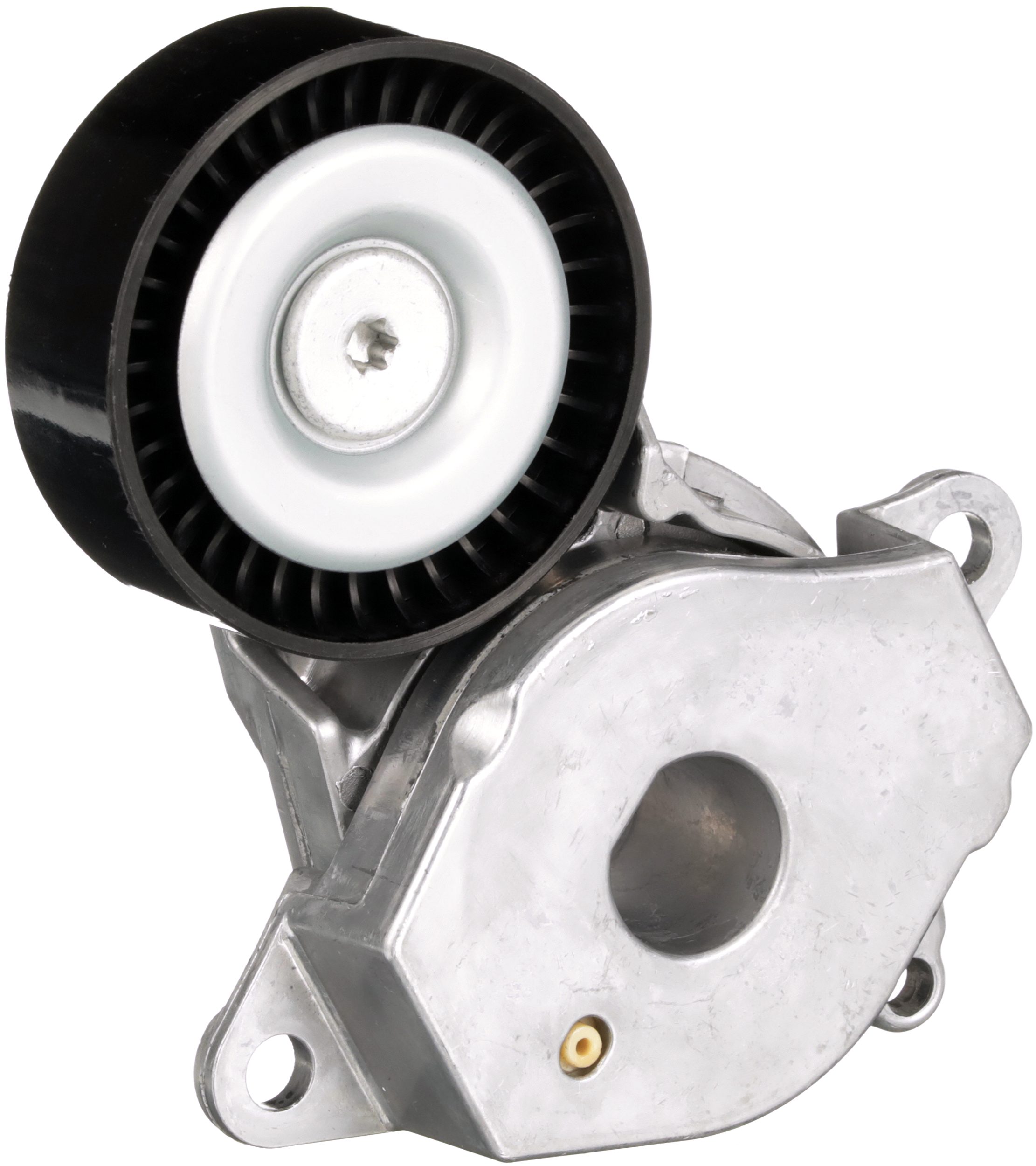 Gates Spanner poly V-riem T39455