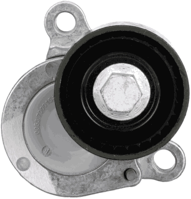 Gates Spanner poly V-riem T39471
